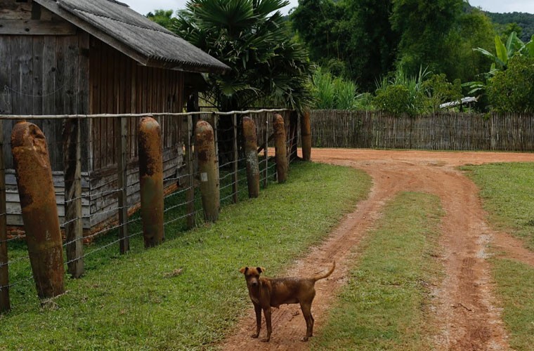 Bom min My nam rai rac o Lao qua anh Reuters-Hinh-6